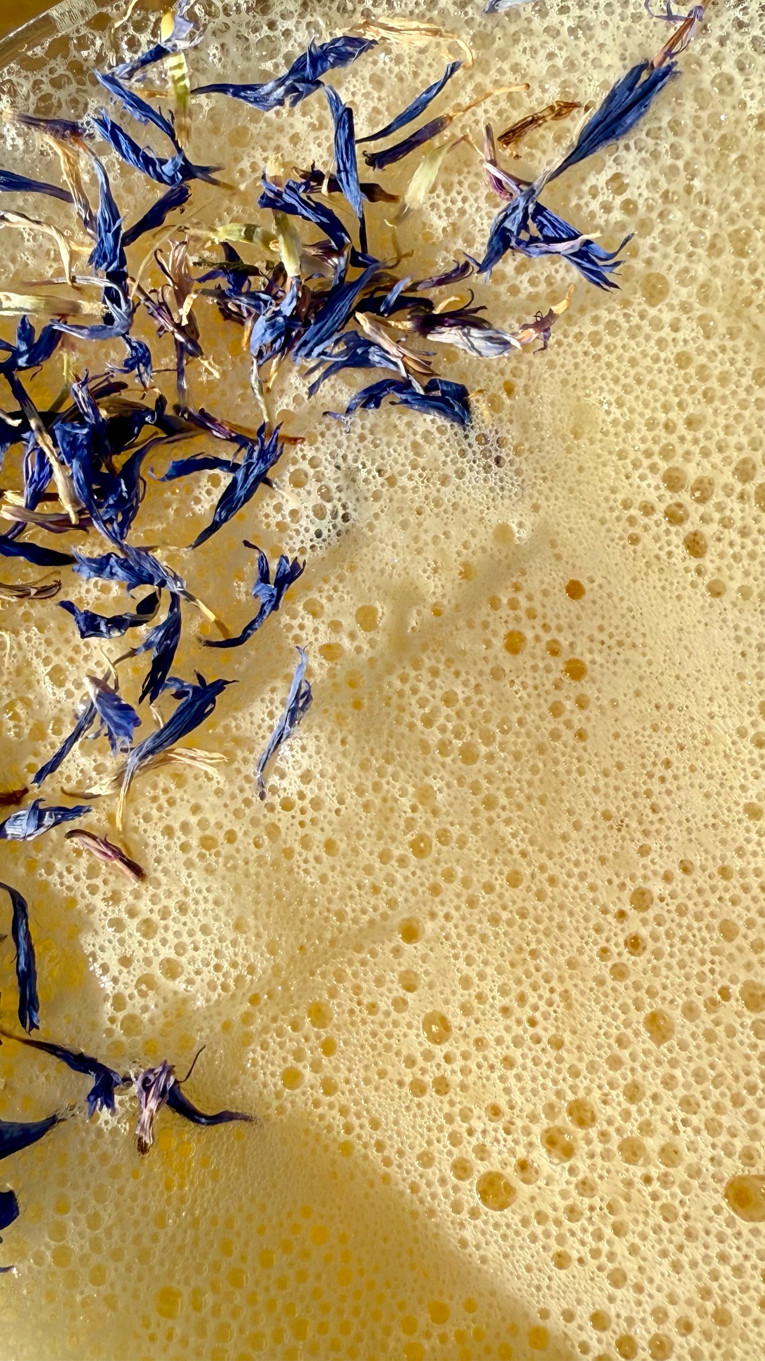 Korenbloem op cocktail